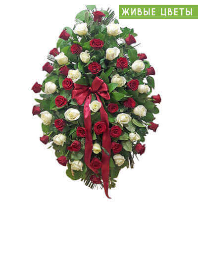 Живой венок из красной и белой розы «М03»